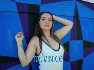 TelviNice