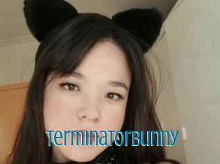 Terminatorbunny