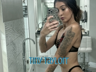Tiny_taylorr