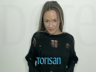 Torisan