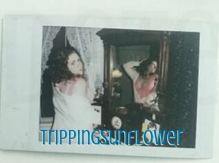 Trippingsunflower