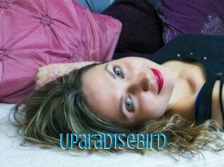 Uparadisebird