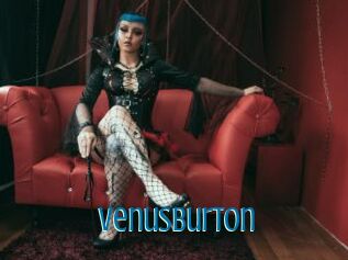 VenusBurton