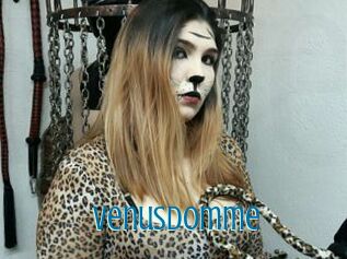 VenusDomme