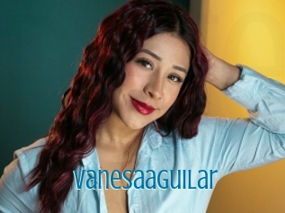 Vanesaaguilar