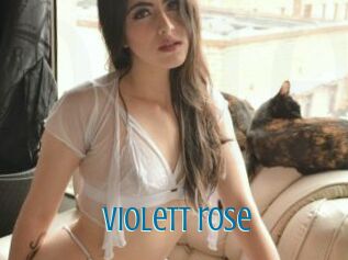 Violett_rose