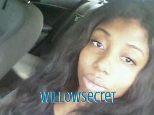 Willow_secret