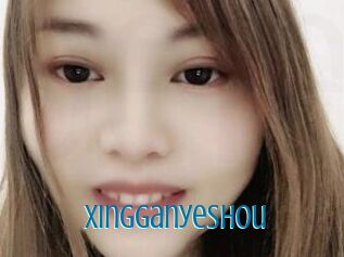 Xingganyeshou