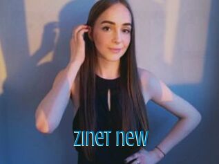 Zinet_new