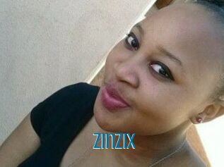ZinziX